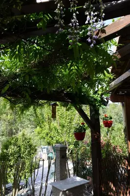 Jardin de l'établissement Patrimonio chambre avec commodités chez l’habitant