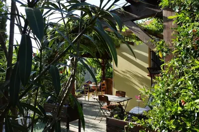 Jardin de l'établissement Patrimonio chambre avec commodités chez l’habitant