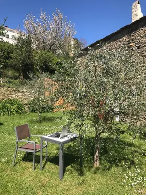 Jardin de l'établissement Maison de charme Corse sauvage