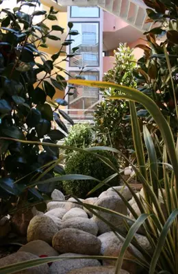 Jardin de l'établissement Vanina Park