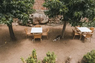 Jardin de l'établissement Résidence Idéal-Subrini