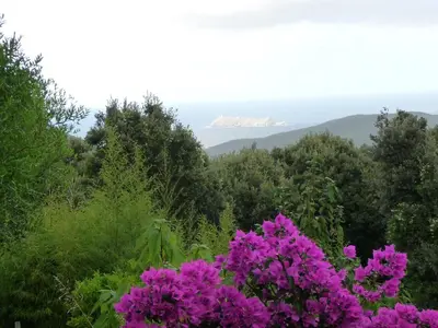 Paysage naturel près de le B&B/chambre d'hôtes
