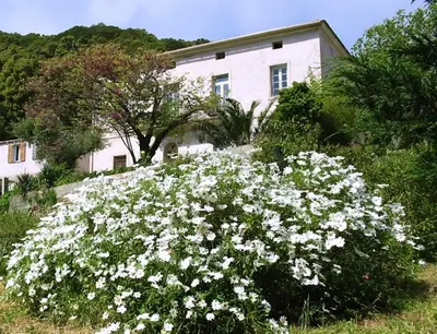 Jardin de l'établissement Casa A Rota Chambres d'Hôtes dans une maison d'Américains
