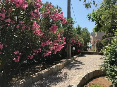 Jardin de l'établissement Residence Motel Corsicana