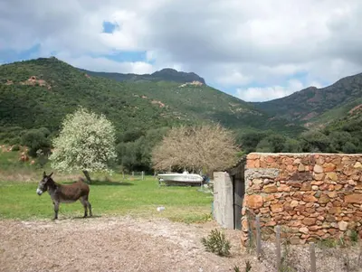 Paysage naturel près de la maison de vacances