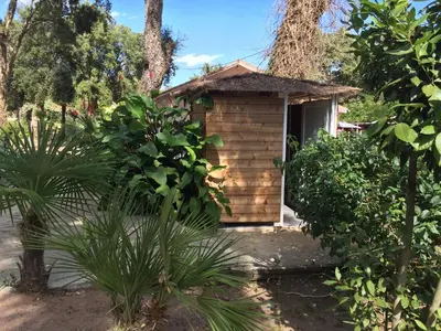 Jardin de l'établissement Résidence EMILIA