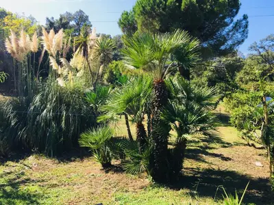 Jardin de l'établissement Résidence EMILIA