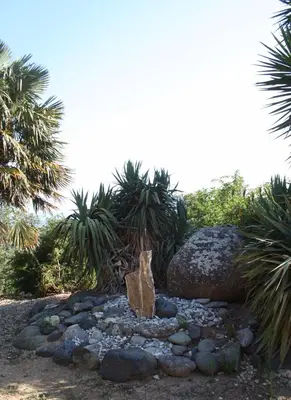 Jardin de l'établissement costa di sognu