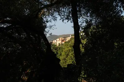 Paysage naturel près de la maison de vacances