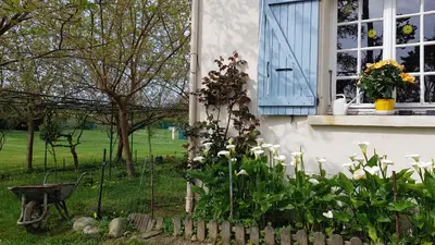 Jardin de l'établissement Monica di Sorbo