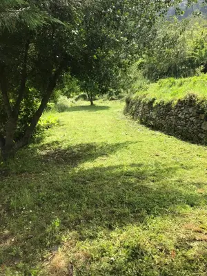 Jardin de l'établissement Maison de village