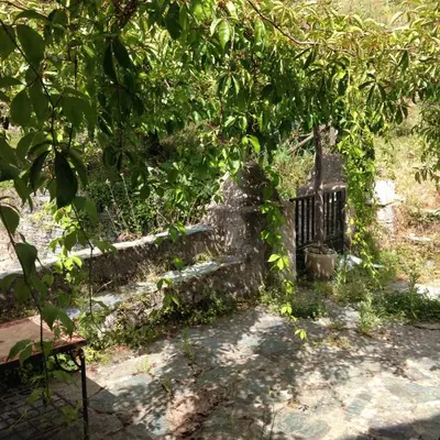 Jardin de l'établissement Maison de village