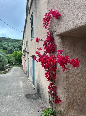 Bâtiment de l'appartement