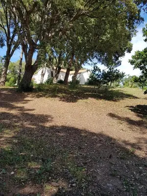 Plan de l'établissement Casa San Niolo