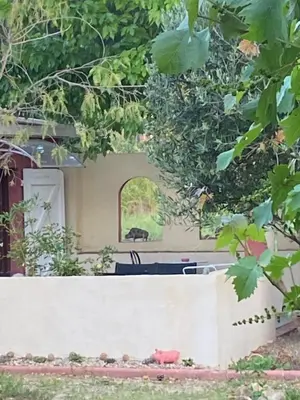 Jardin de l'établissement Casa di Floumy