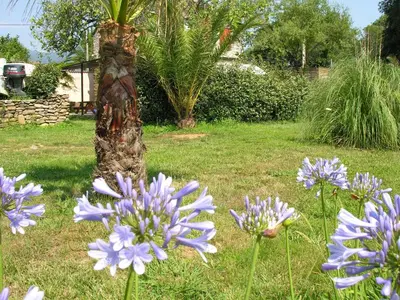Jardin de l'établissement Holiday Home in Moriani-Plage near Beach