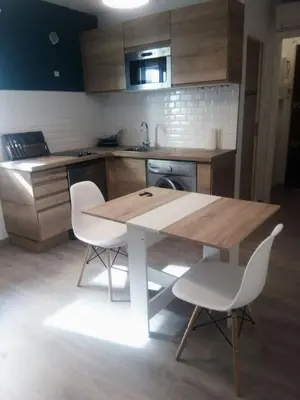 Cuisine ou kitchenette dans l'établissement Charmant studio climatisé à 300m du port. Refait à neuf.