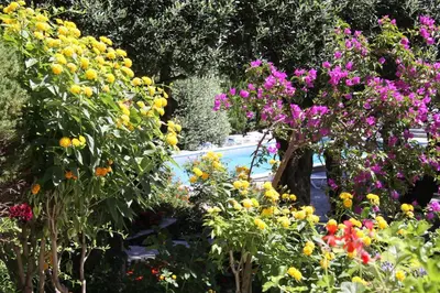 Jardin de l'établissement Hôtel Pietracap