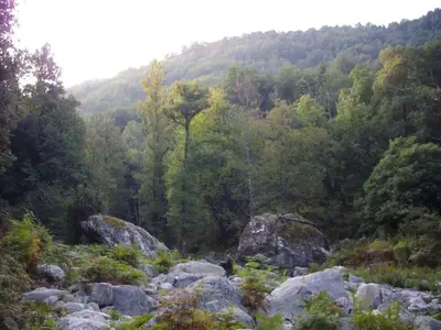 Paysage naturel près de l'appartement