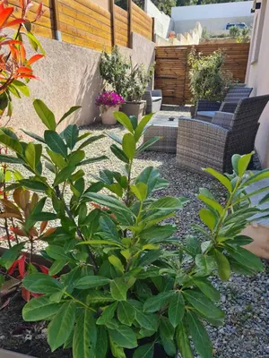 Jardin de l'établissement Casa Dea