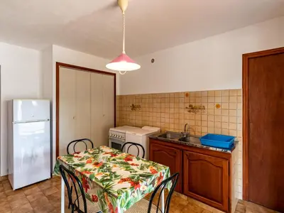 Cuisine ou kitchenette dans l'établissement Apartment Dami II-1 by Interhome