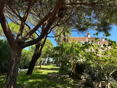 Jardin de l'établissement Holiday Home Les Chênes by Interhome