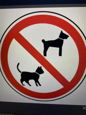 Animal ou animaux domestique(s) séjournant avec des clients dans l'établissement L Appicciu