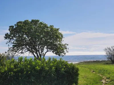 Paysage naturel près de la maison de vacances