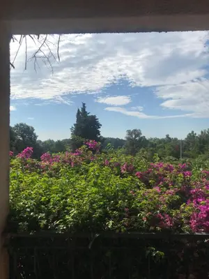 Jardin de l'établissement U Ricordu