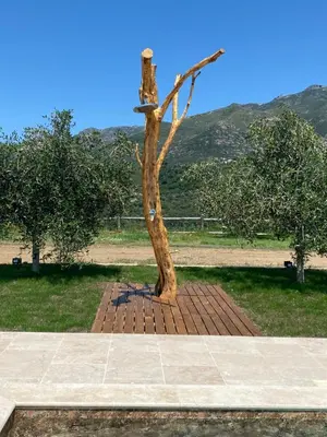 Paysage naturel près de l'appartement