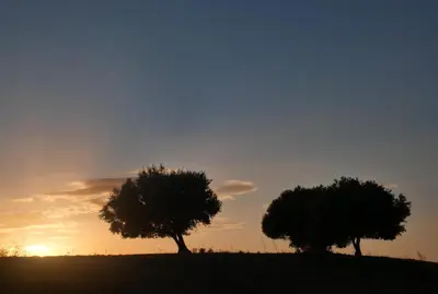 Lever ou coucher de soleil vu de l'appartement ou à proximité