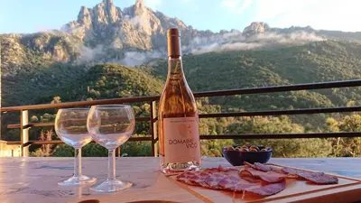 Vue générale sur la montagne ou vue sur la montagne depuis l'appart'hôtel