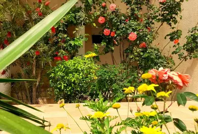 Jardin de l'établissement Résidence Saint Michel