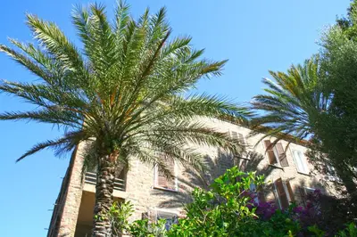 Jardin de l'établissement Hôtel Colombo- Porto Corse