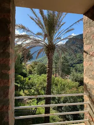 Paysage naturel près de l'hôtel