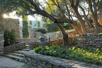 Jardin de l'établissement Domaine Panciarella