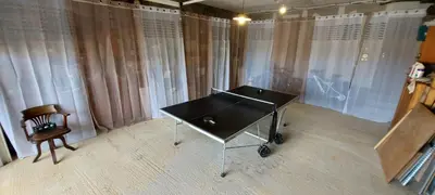 Tennis de table au sein de l'établissement Corse et Zen VILLA SUR LES BOIS 85m2 5à7 pers ou à proximité