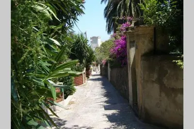 Jardin de l'établissement Maison Village Cosy 450m de la plage , 2km de la ville Cap Corse