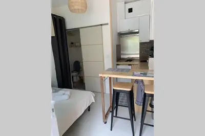 Cuisine ou kitchenette dans l'établissement Charmant petit studio en centre ville