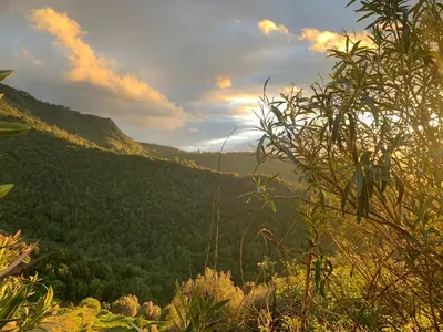 Paysage naturel près de l'appartement