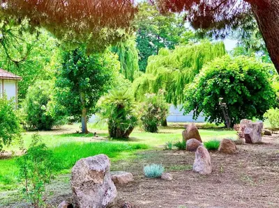 Jardin de l'établissement Campo Vecchio Sole et Piscine