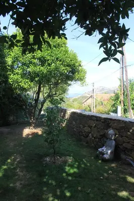Jardin de l'établissement Studio Zen