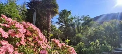 Paysage naturel près de la maison de vacances