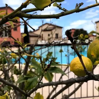 Appartement Dolce Farniente Corse Lozari
