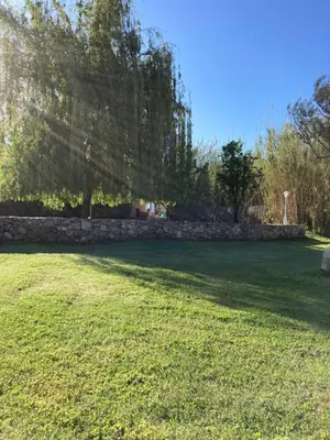 Jardin de l'établissement Appartement PALAZZI 2