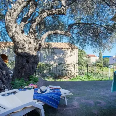 Domaine Bollaccia - Casa Caruchettu