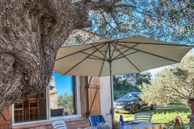 Jardin de l'établissement Domaine Bollaccia - Casa Bodri
