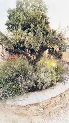 Jardin de l'établissement A Villa di Rutali