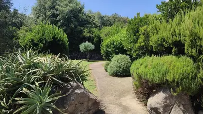 Jardin de l'établissement Les Bergeries de Piazzagina