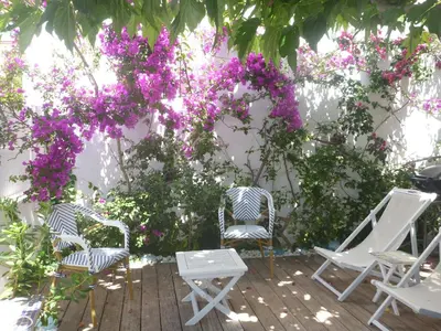 Jardin de l'établissement Les galets bleus de Calvi
